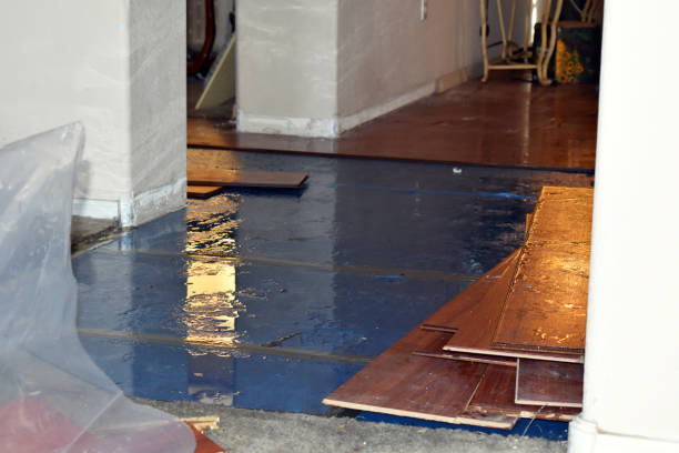 Professional Burst Pipe Cleanup technician working in Old Bethpage, NY